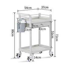Carrello a rulli, Grande portaoggetti Parrucchiere Carrello in plastica ABS per Salone di Bellezza 2 Supporto 150 kg grigioZHFZD