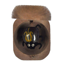 Beetle in a Nut - Random Colours