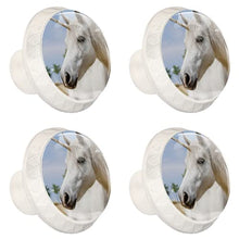 Maniglie per cassetti Manopole per cassetti Manopole rotonde Confezione da 4 per armadietto, cassetti, cassettiere, cassettiere ecc. Unicorno