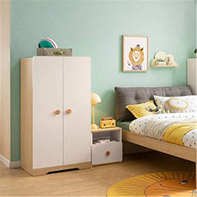 Zhicaikeji Armadio Moderno Minimalista Camera da Letto Armadio a Due Porte Piccolo Armadio per Bambini per Bambini Armadio per Bambini armadietto Mobili da Camera da Letto