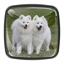 Due simpatici cani Pomelli per Porta Set di 4 Pomelli per Mobili Manopole per Cassetti Cucina Armadio Vetro