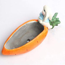 QJXSAN Cemento Forma di Carota Pianta grassa Pot Cute Cartoon Cactus Vaso da Fiori Planter Contenitore con Fori