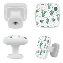 Succulente estive 4 PCS Pomelli per Porta, Pomolo per Mobile, Pomelli per Mobili con Viti, Maniglia per Armadietto, Pomelli per Porta, Pomelli per Cassetti per Porta, Armadio, Cassetto e Credenza