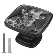 giraffa Pomelli per Porta Set di 4 Pomelli per Mobili Manopole per Cassetti Cucina Armadio Vetro