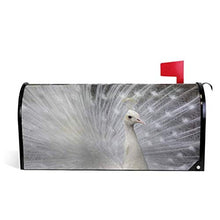 Piuma di Pavone Bianco Animale Mailbox Copre Magnetico Giardino Cantiere Casa Decor Dimensioni Standard 53,3 cm x 45,7 cm