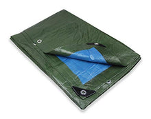 Telo Hunter Multiuso Antistrappo Rinforzato e con Occhielli Double Face Verde e Blu Misura cm 400X600 Metri 4X6