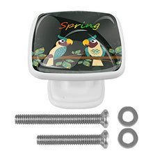 Uccello del fumetto 4 PCS Pomelli per Porta, Pomolo per Mobile, Pomelli per Mobili con Viti, Maniglia per Armadietto, Pomelli per Porta, Pomelli per Cassetti per Porta, Armadio, Cassetto e Credenza