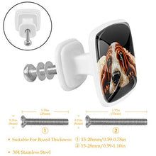 Cane sulla pancia 4 PCS Pomelli per Porta, Pomolo per Mobile, Pomelli per Mobili con Viti, Maniglia per Armadietto, Pomelli per Porta, Pomelli per Cassetti per Porta, Armadio, Cassetto e Credenza