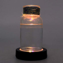 Rockyin CupWine sottobottiglia con Luce LED Cambia Shell Black Light Colorful No Batteria Inclusa