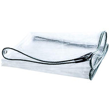 DLMSDG Telone Impermeabile in Vetro da 0,3 mm, Telone da Giardino, Resistenza allo Strappo, Robusto e Durevole, per Patio, Balcone, 450g/m²(0.3mm1x3m(3.28x9.84ft))