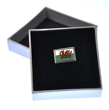 Welsh Dragon Flag Enamel Lapel Pin