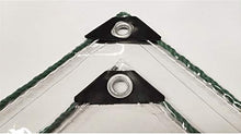 Telone Trasparente PVC 100% Impermeabile Telone, Copertura Impermeabile per Piante, La Dimensione può Essere Personalizzata (Color : Transparent, Size : 1.6x4m)