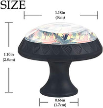 Modello tropicale del cocco Pomelli per Porta Set di 4 Pomelli per Mobili Manopole per Cassetti Cucina Armadio Vetro