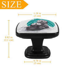 Lontra di mare carino Pomelli per Porta Set di 4 Pomelli per Mobili Manopole per Cassetti Cucina Armadio Vetro