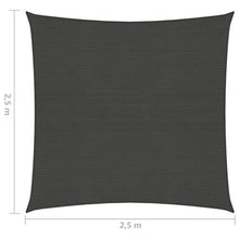vidaXL Vela Parasole 160 g/m² Antracite 2,5x2,5 m in HDPE