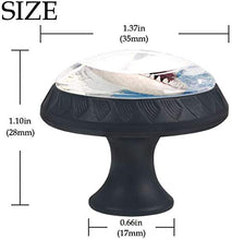 Squalo 3D con la bocca aperta Pomelli per Porta Set di 4 Pomelli per Mobili Manopole per Cassetti Cucina Armadio Vetro