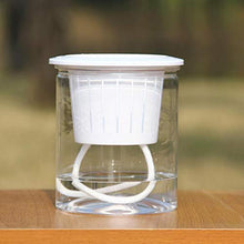 QJXSAN Assorbimento Flower Pot Automatico d'Acqua Trasparente Rotonda idroponica Flower Pot (Size : Small)