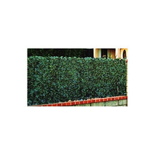 Fogliame Duo semplice face Variante Ht.1,0 x Lg.3 m