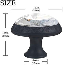 Border Collie Jump Water Pomelli per Porta Set di 4 Pomelli per Mobili Manopole per Cassetti Cucina Armadio Vetro
