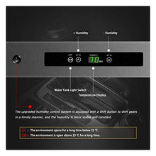 EVEN Humidor Personalizzato, Humidor per Sigaro termoelettrico per sigari, 2 Dimensioni, scaffalatura Classica in Cedro