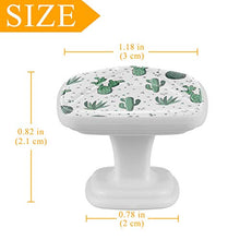 Succulente estive 4 PCS Pomelli per Porta, Pomolo per Mobile, Pomelli per Mobili con Viti, Maniglia per Armadietto, Pomelli per Porta, Pomelli per Cassetti per Porta, Armadio, Cassetto e Credenza