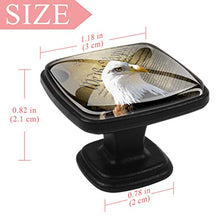 Giornale Vulture 4 PCS Pomelli per Porta, Pomolo per Mobile, Pomelli per Mobili con Viti, Maniglia per Armadietto, Pomelli per Porta, Pomelli per Cassetti per Porta, Armadio, Cassetto e Credenza
