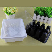 MH - Set di vasi in plastica per piante e semi, con cupola e base da giardino