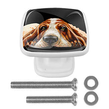 Cane sulla pancia 4 PCS Pomelli per Porta, Pomolo per Mobile, Pomelli per Mobili con Viti, Maniglia per Armadietto, Pomelli per Porta, Pomelli per Cassetti per Porta, Armadio, Cassetto e Credenza
