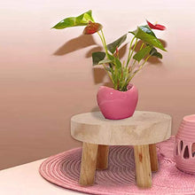 MSYG - Panca per piante in legno massiccio, con sgabello alto, per balconi, piante grasse e orchidee, per casa, ufficio, giardino