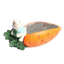 QJXSAN Cemento Forma di Carota Pianta grassa Pot Cute Cartoon Cactus Vaso da Fiori Planter Contenitore con Fori