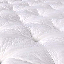 EVERGREENWEB - Materasso Singolo 80x190 alto 25cm con Topper in Memory Foam Med Sfoderabile + Cuscino Letto GRATIS, Lastra in Waterfoam Ortopedico a 7 Zone Differenziate doppio Lato Estivo e Invernale