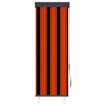 vidaXL - Tenda avvolgibile per esterni, 60 x 250 cm, arancione e marrone