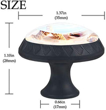 Stella di mare Shell Beach Pomelli per Porta Set di 4 Pomelli per Mobili Manopole per Cassetti Cucina Armadio Vetro