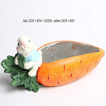 QJXSAN Cemento Forma di Carota Pianta grassa Pot Cute Cartoon Cactus Vaso da Fiori Planter Contenitore con Fori