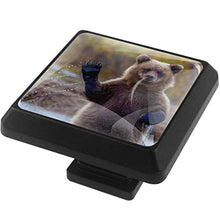 Ciao orso ciao 3 PCS Pomelli per Porta, Pomolo per Mobile, Pomelli per Mobili con Viti, Maniglia per Armadietto, Pomelli per Porta, Pomelli per Cassetti per Porta, Armadio, Cassetto e Credenza