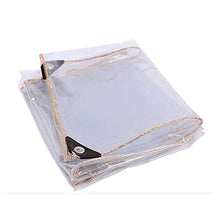 GOODLUKE Telone Trasparente Impermeabile, Tela Pioggia Telo in Plastica PVC Clear Resistente con Occhielli, Coperture in Fogli per Piante da Fiore per Esterno Interno (0,35 mm & 450g/m²),300x400cm