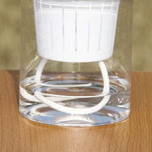 QJXSAN Assorbimento Flower Pot Automatico d'Acqua Trasparente Rotonda idroponica Flower Pot (Size : Small)