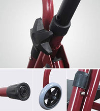 Telaio da passeggio Roller Pieghevole Leggero A Due Ruote con Sedile Imbottito E Maniglie Ergonomiche (Rosso)