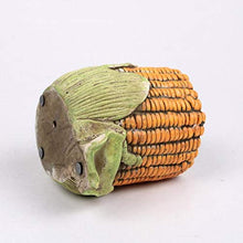 QJXSAN Retro carnoso Flower Pot Corn Embossed Vasi nostalgico Creativo Fatto a Mano del Cemento Pianta in Vaso Contenitore