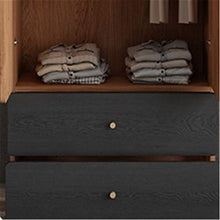 Armadietti e credenze Armadio Assemblaggio Assemblaggio a due porte Armadio moderno Minimalista Armadio a due porte Piccolo appartamento Appartamento armadio armadio .Armadio per camera da letto
