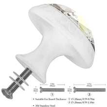 Maniglie per cassetti Manopole per cassetti Manopole rotonde Confezione da 4 per armadietto, cassetti, cassettiere, cassettiere ecc - Dinosauri Felci VectIllustration