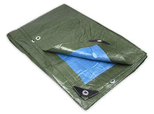 Tata Home Telone Impermeabile per Esterno Occhiellato in PVC Colore Blu e Verde Misura cm 200X300 Metri 2X3