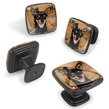 cane carino Pomelli per Porta Set di 4 Pomelli per Mobili Manopole per Cassetti Cucina Armadio Vetro