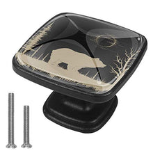 Orso luna Pomelli per Porta Set di 4 Pomelli per Mobili Manopole per Cassetti Cucina Armadio Vetro