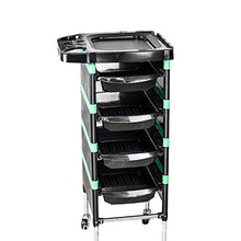 REGAL-HPQ Carrello per Parrucchiere Estetista Portaoggetti Porta con Ruote 5 Salone Barbieria Nero,Verde