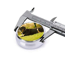 Contenitore rotondo per pillole per cani, con 3 scomparti, in metallo, per medicina, vitamina