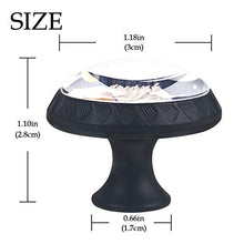 4 PCS Pomelli per Porta,Pomolo per Mobile,Pomelli per Mobili con Viti,Maniglia per Armadietto,Pomelli per Porta,Pomelli per Cassetti per Porta,Armadio,Cassetto e Credenzacapcake del pane