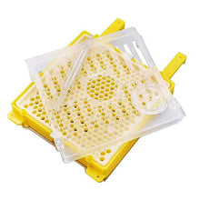 kdjsic Kit per l'allevamento della Regina di Apicoltura Coppe per Celle Catcher Box Gabbie a rulli per l'allevamento di api Strumenti per Alveare