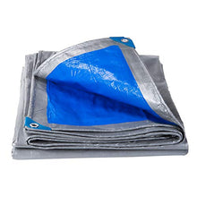 Teloni Impermeabile Resistente, 200 G/M² Telo Universale Argento/Blu Protegge Le Piante da Giardino Tettoia per Il Sole con Occhiello Zincato(Size:6×6M)