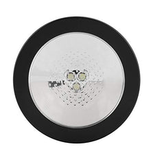 Rockyin CupWine sottobottiglia con Luce LED Cambia Shell Black Light Colorful No Batteria Inclusa